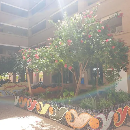 Edificio Playa Ribera Med001 アパート